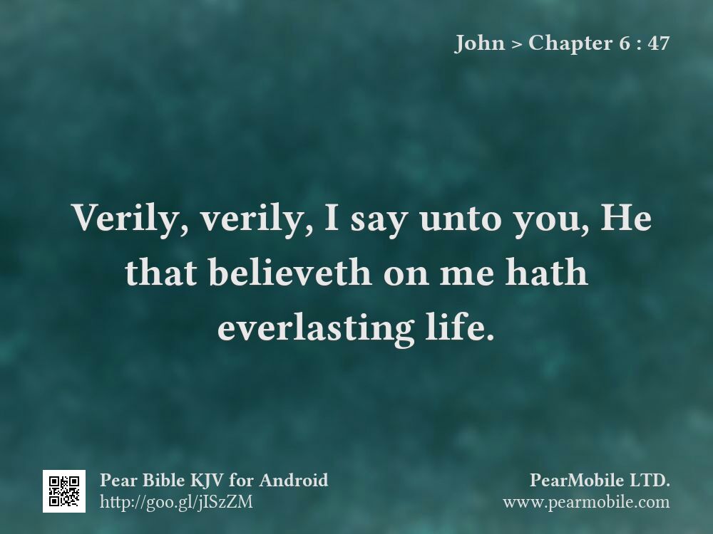 John, Chapter 6:47
